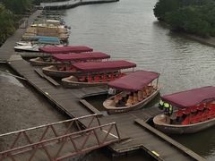 -东寨港红树林旅游区