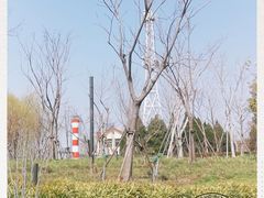 -上海山野camping·户外天幕烧烤·团建拓展营地