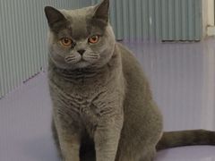 -1013 PET SHOP 宠物商店(近铁城市广场店)