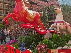 -越秀西湖花市(广州城市广场花卉店)