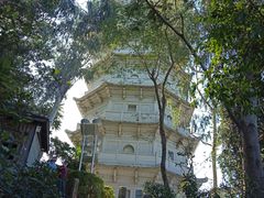 -深圳国际园林花卉博览园