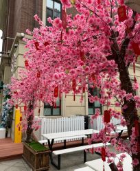 -米莱摄影写真(五大道别墅店)