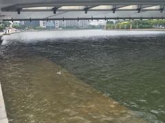 -海河游船-永乐码头(大悲院)