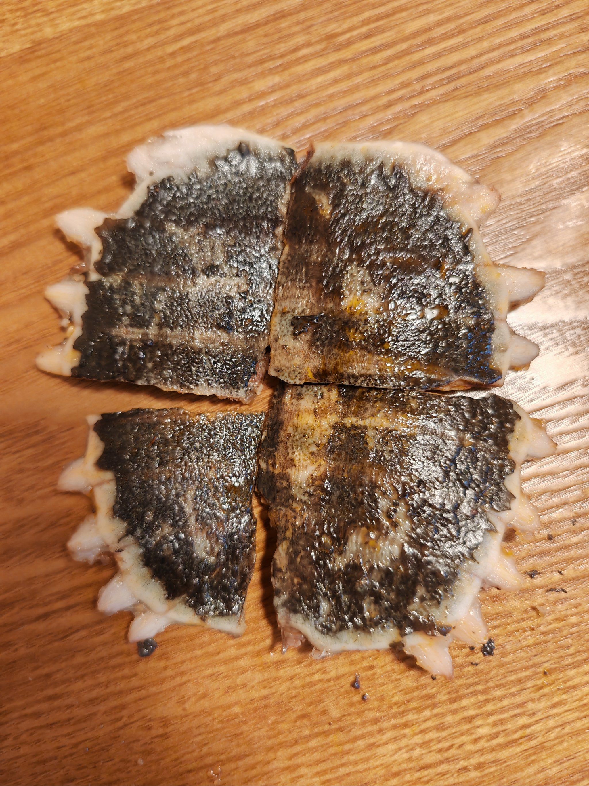 吃甲鱼最好玩的事情就是拼龟壳