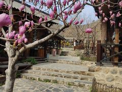 -北京水岸山吧度假村(雁栖镇店)