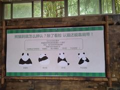 -常州淹城野生动物世界