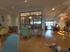 大堂-猫小主咖啡·猫咖cat cafe(福田店)