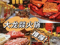 -大龙燚火锅