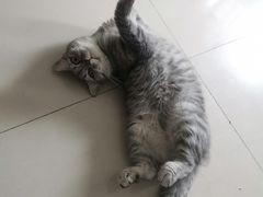 -联合动物医院(光谷诊疗中心)