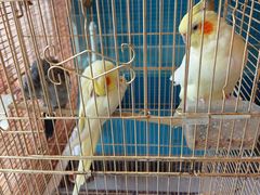 -潇湘·永州会馆(百子湾店)