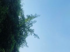 -三峡人家风景区