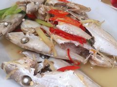 迪仔鱼-老三鱼仔店