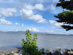 -深圳湾公园(南山区)