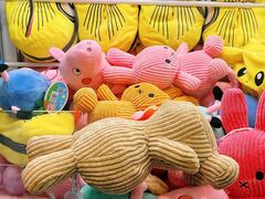 -运动派(北京店)
