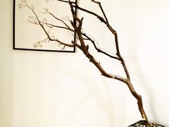 -麦子MaiMassage(打浦桥店)