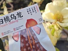 -霸王茶姬(东方新天地店)