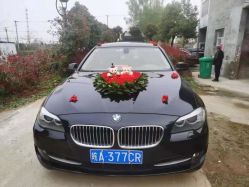 -蚂蚁婚车