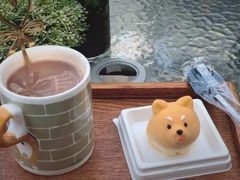 柴柴芝士蛋糕-柴犬高等学院·狗咖·柴犬售卖·宠物训练