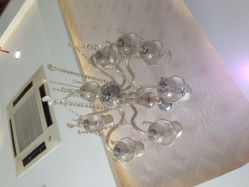 金思黛--审美造型-审美护肤造型