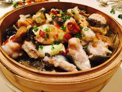 娃娃鱼-東海海鲜酒家(中信广场店)