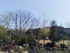 -桃花岭景区