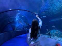 -太平洋海底世界