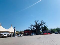 -新疆天山野生动物园