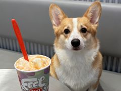 -DQ·蛋糕·冰淇淋(五角场万达店)