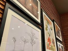 -星巴克(上海虹桥新天地二店)