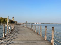 -溱湖国家湿地公园