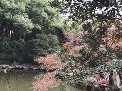 -汇龙潭