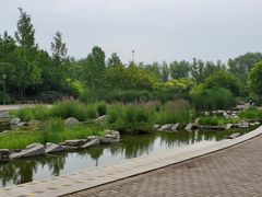 -大望京公园