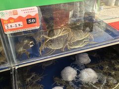 -阳澄湖大闸蟹·琼灵阁牌品牌连锁(吴中总店)