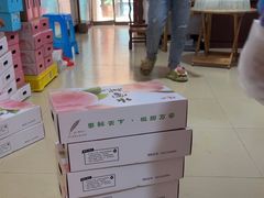 -老袁家蜜桃农场·阳山水蜜桃