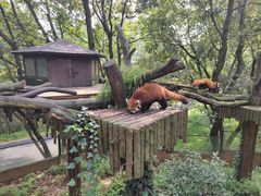 -云南野生动物园
