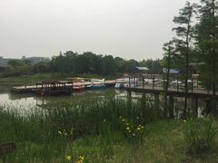 -尚贤河湿地