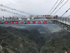 -梦幻奥陶纪景区