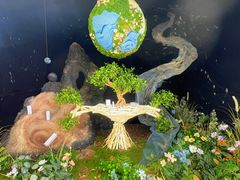 -上海鲜花港