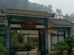 -南山植物园