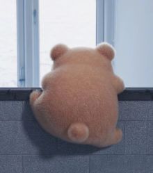 -至简医疗美容·医生集团