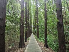 -同里国家湿地公园
