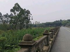 -三圣花乡旅游区