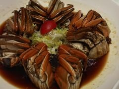 -大铁勺新津菜(熙悦汇店)