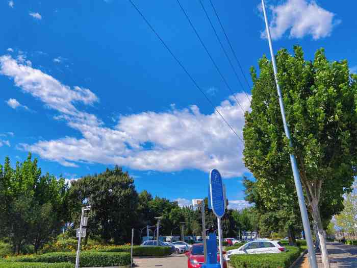 凉水河公园"亦庄这边隐藏了一片小雏菊花海从市区开车.