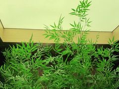 -初蓉丨遇见新川菜(亲贤街荣耀店)