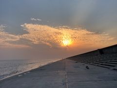 -碧海金沙