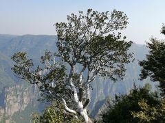 -神农山景区