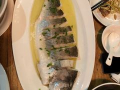 非一般的海鲈鱼-热度餐厅(老佛爷店)