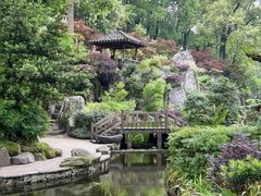 -南山植物园