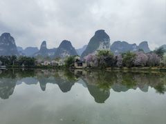 -明仕田园